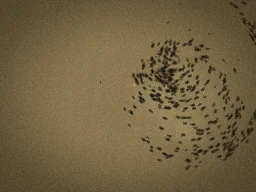 Insect Swarm particle effect